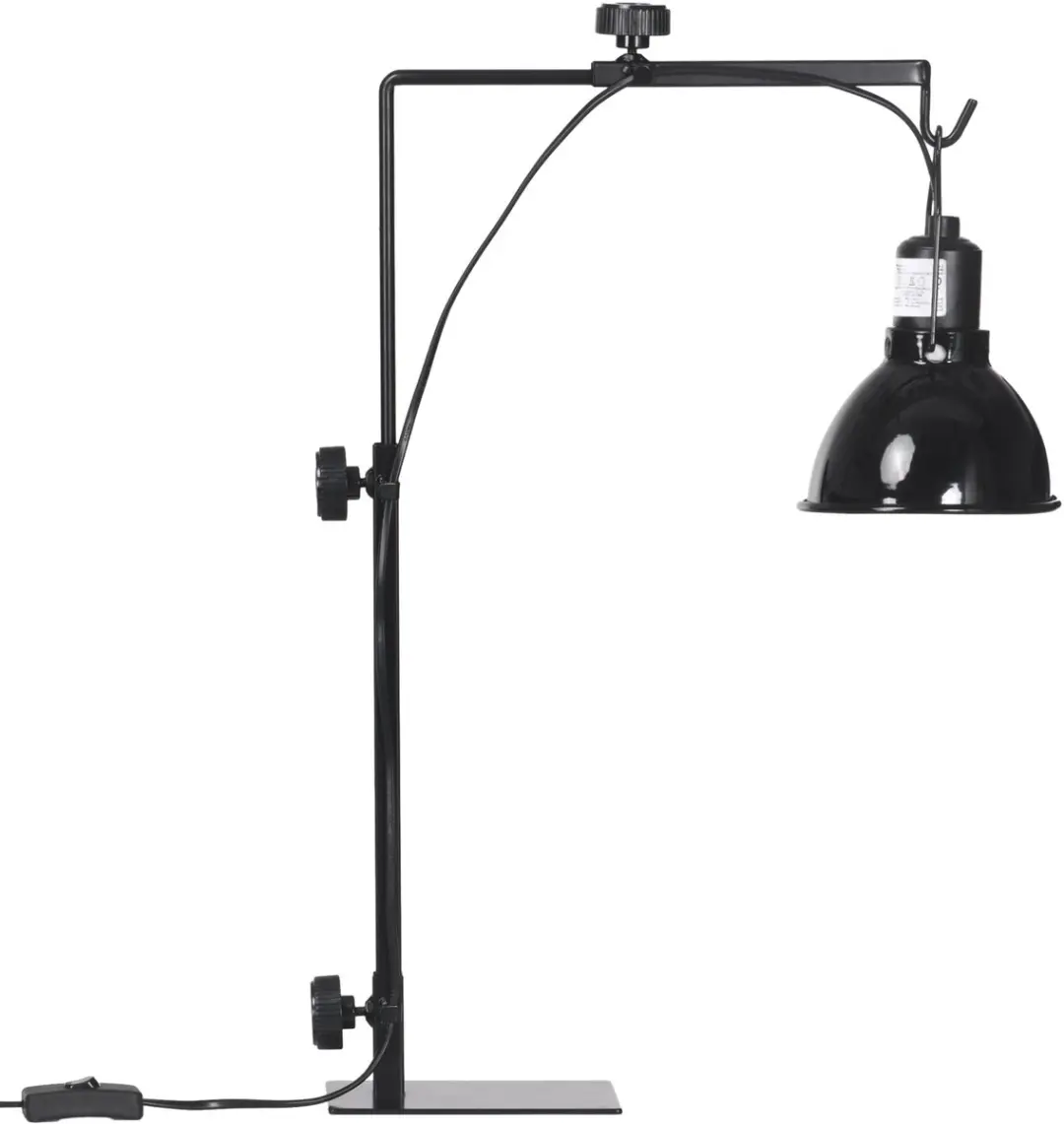 Pawhut Reptielenlampstandaard 32x9x67cm