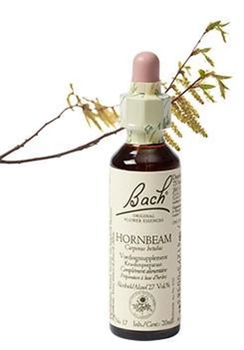 Hornbeam/Haagbeuk Bach