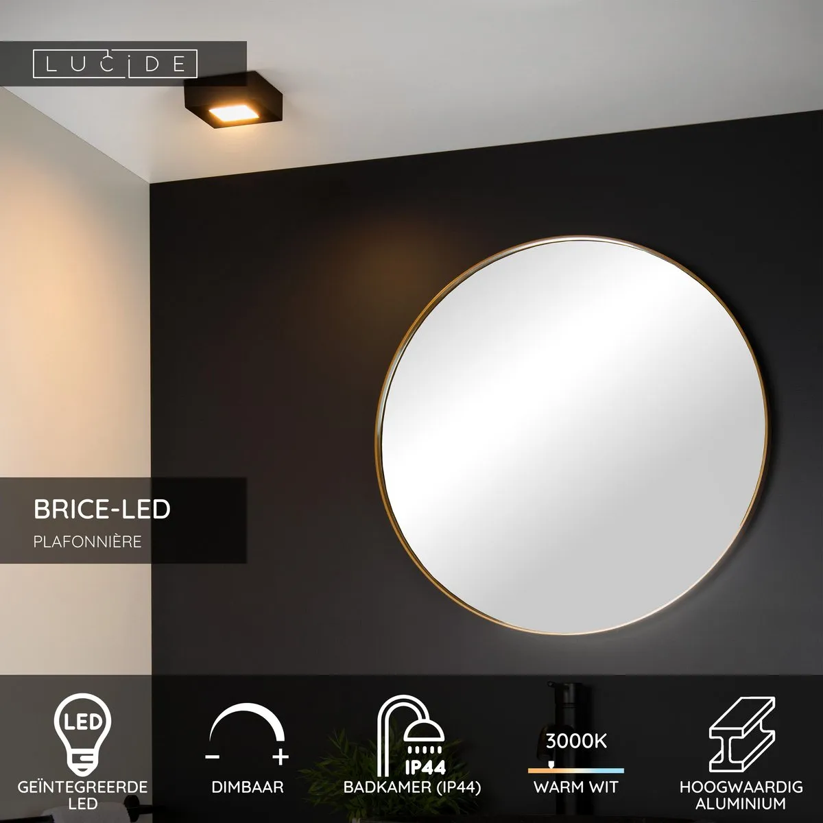 Lucide BRICE-LED Plafondlamp Badkamer - 8W 3000K - Zwart