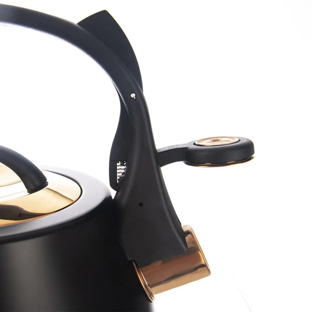 Orion Stalen Fluitketel 3L - Mat Zwart/Goud