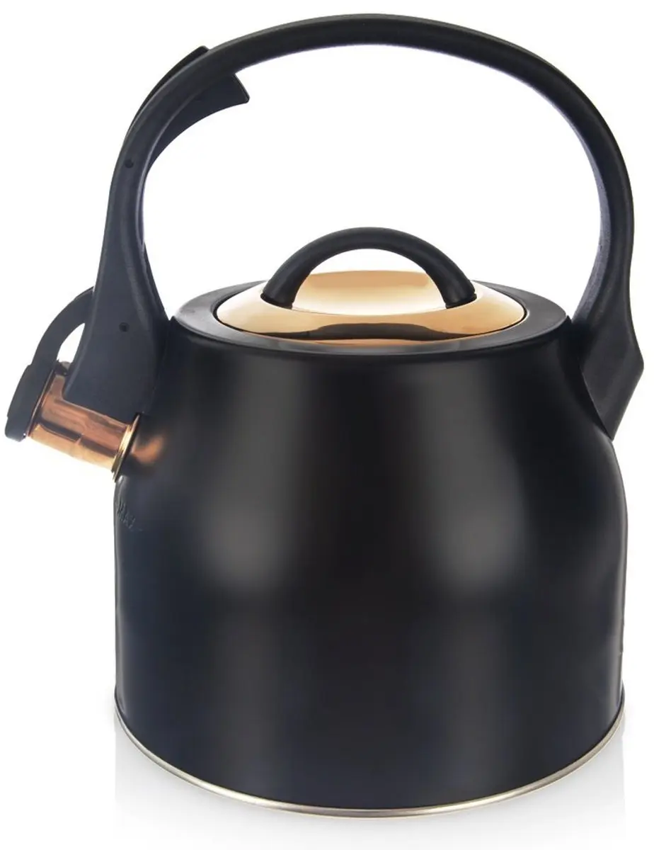 Orion Stalen Fluitketel 3L