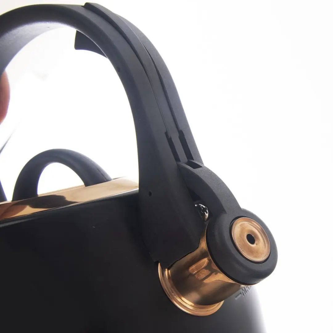 Orion Stalen Fluitketel 3L - Mat Zwart/Goud