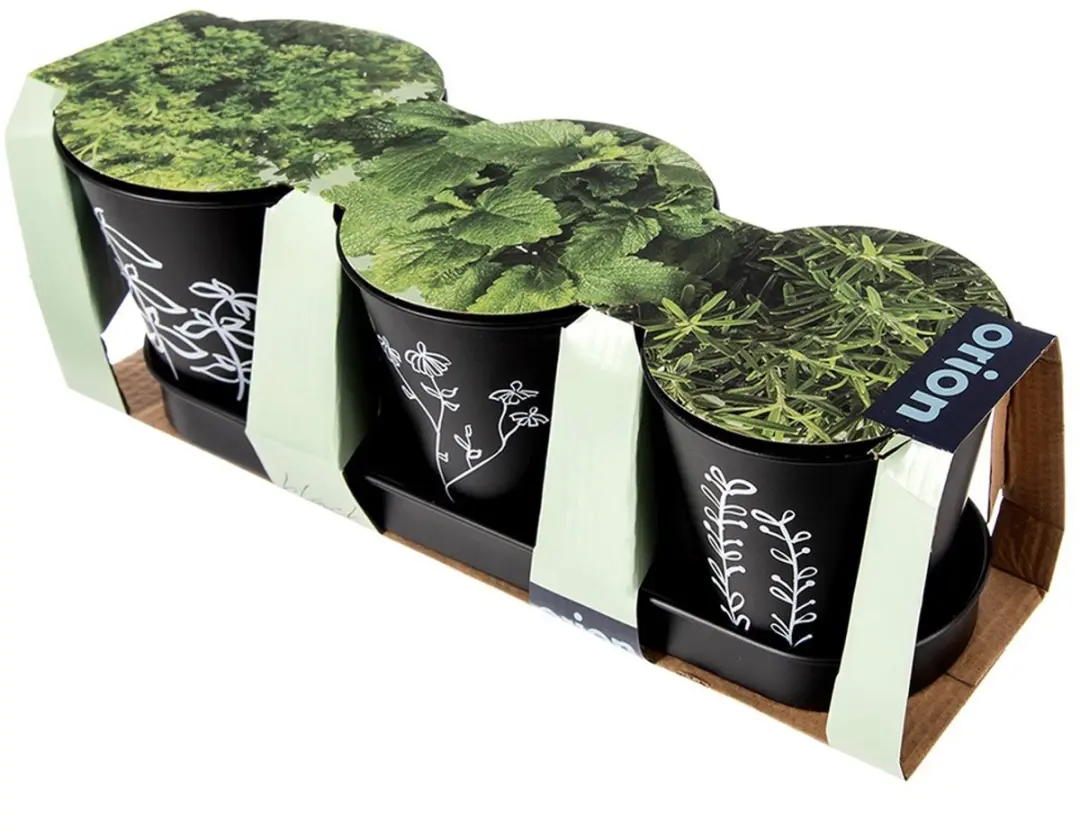 Orion Blackline Kruidenpot - 3 Stuks - Zwart
