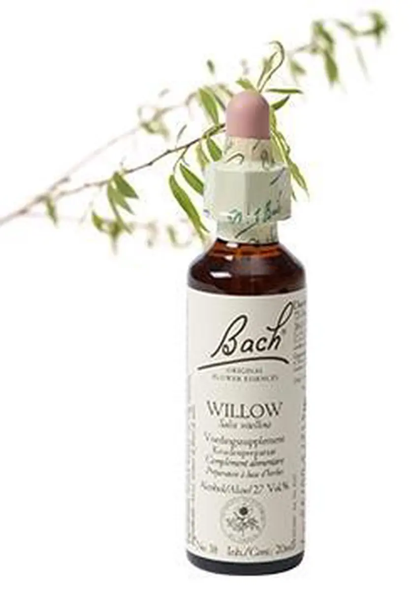 Willow/Wilg Bach