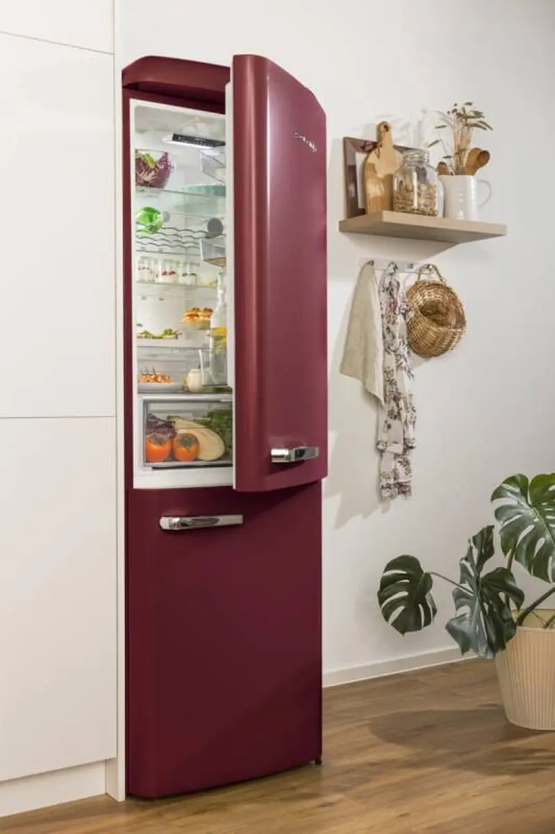 Gorenje ONRK619DR Vrijstaand Koelkast - 300L Bordeaux