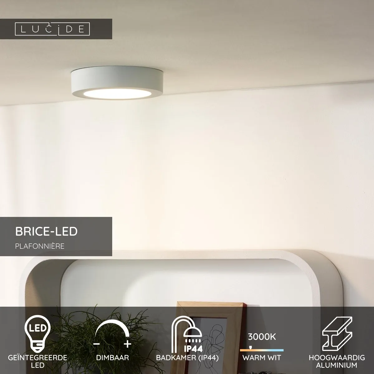 Lucide BRICE-LED Plafondlamp Badkamer 12W 3000K - Ø18cm Wit