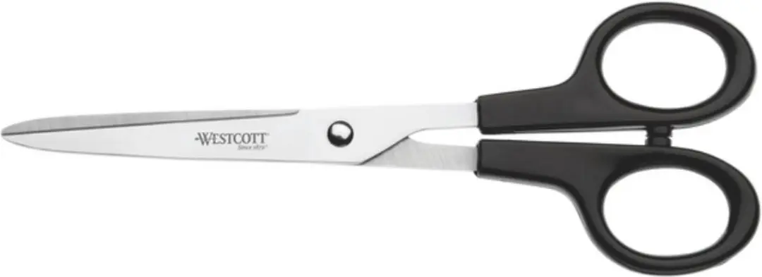 Westcott Bureau Schaar RVS