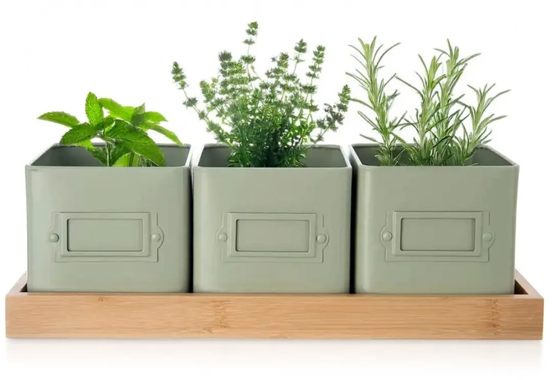Orion Greenish Kruidenpot Set
