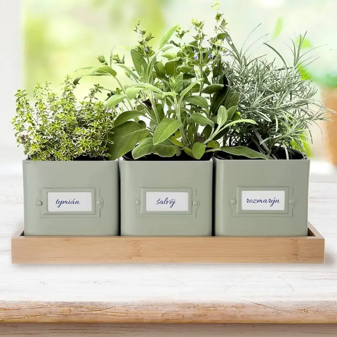 Orion Greenish Kruidenpot Set - 4 Stuks - Metaal & Bamboe - afbeelding 6 van 6