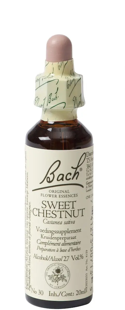 Sweet Chestnut/Tamme Kast Bach