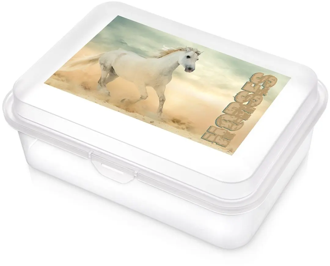 Orion Lunchbox Transparant 750ml