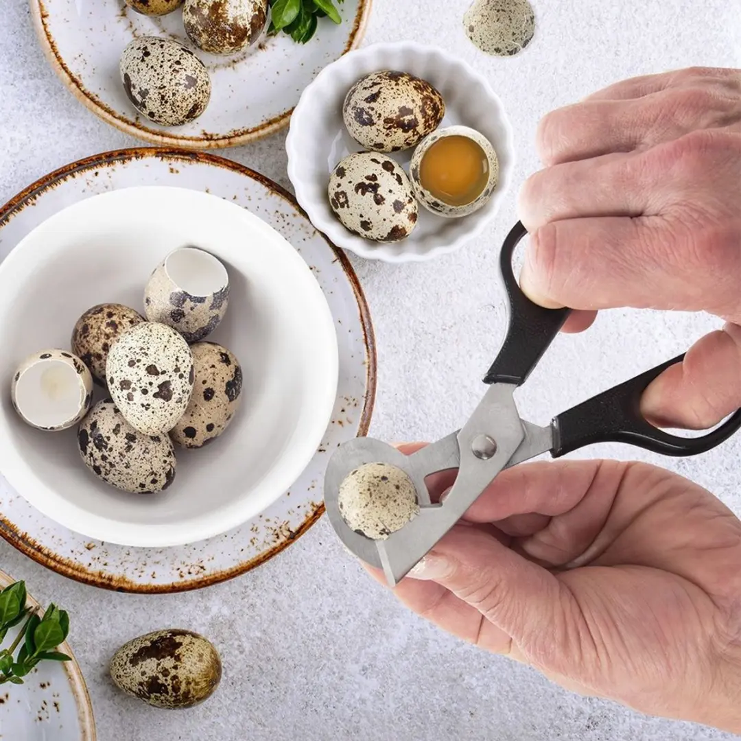 Orion Roestvrijstalen Eierknipper 14,5cm - Zwart/Crème - afbeelding 5 van 6