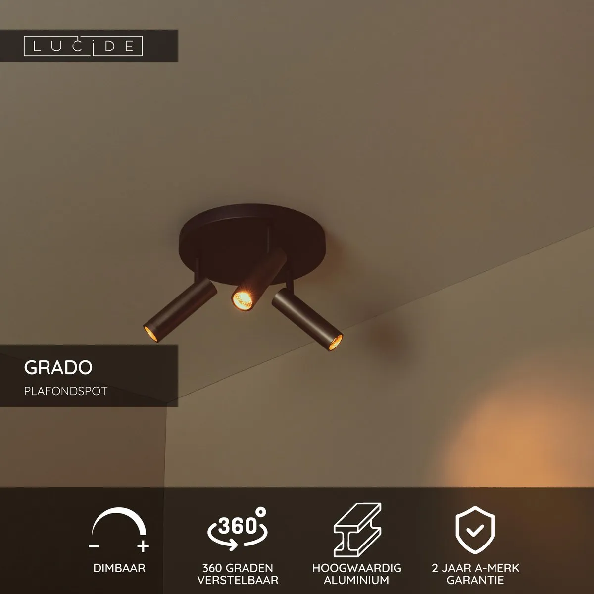 Lucide GRADO Plafondspot Ø25cm