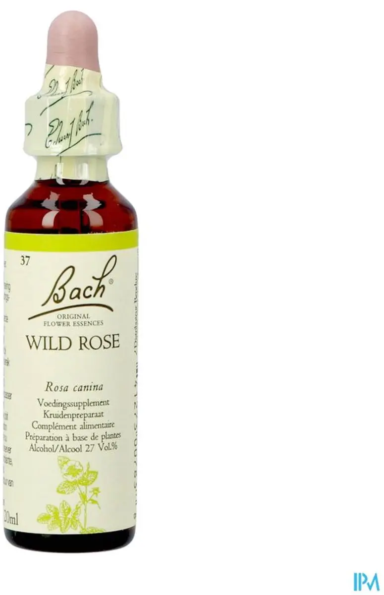 Bach Wild Rose Voedingssupplement 20ml