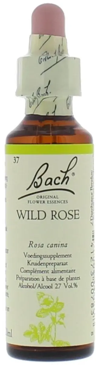 Bach Wild Rose Voedingssupplement 20ml