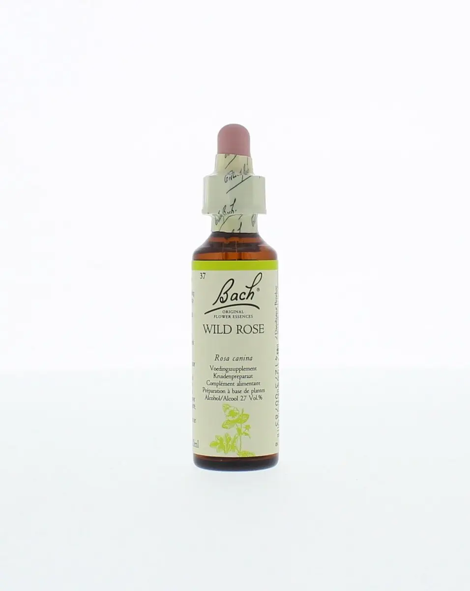 Bach Wild Rose Voedingssupplement 20ml