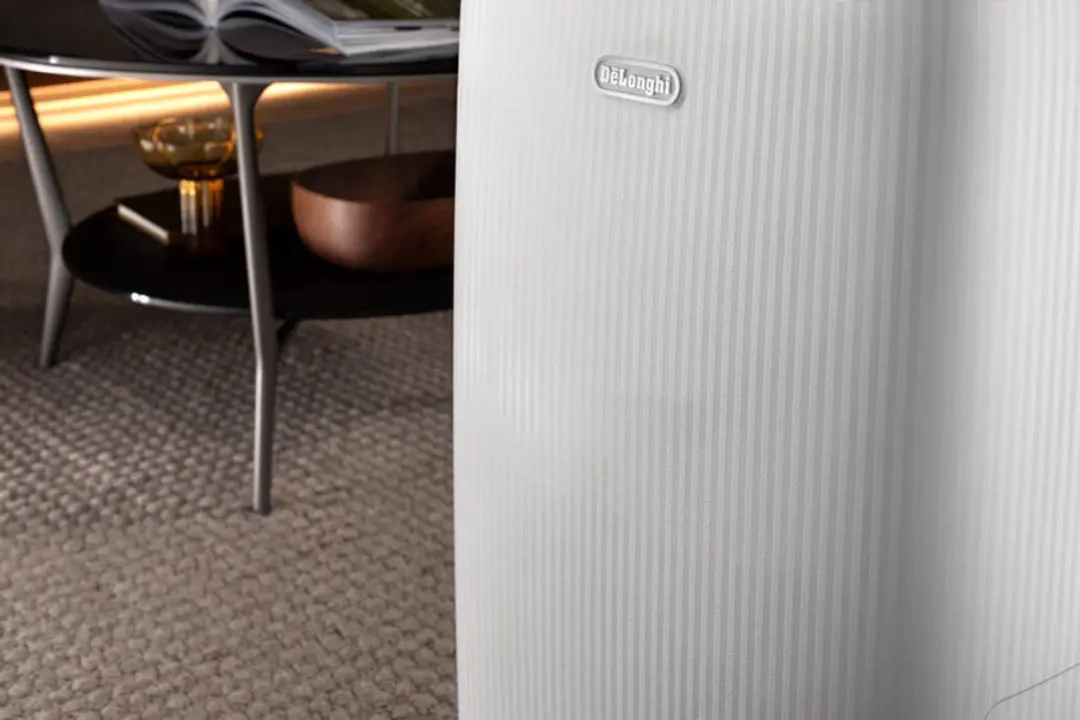 De'Longhi AriaDry Start DEP210 Luchtontvochtiger - 10L/dag - Wit