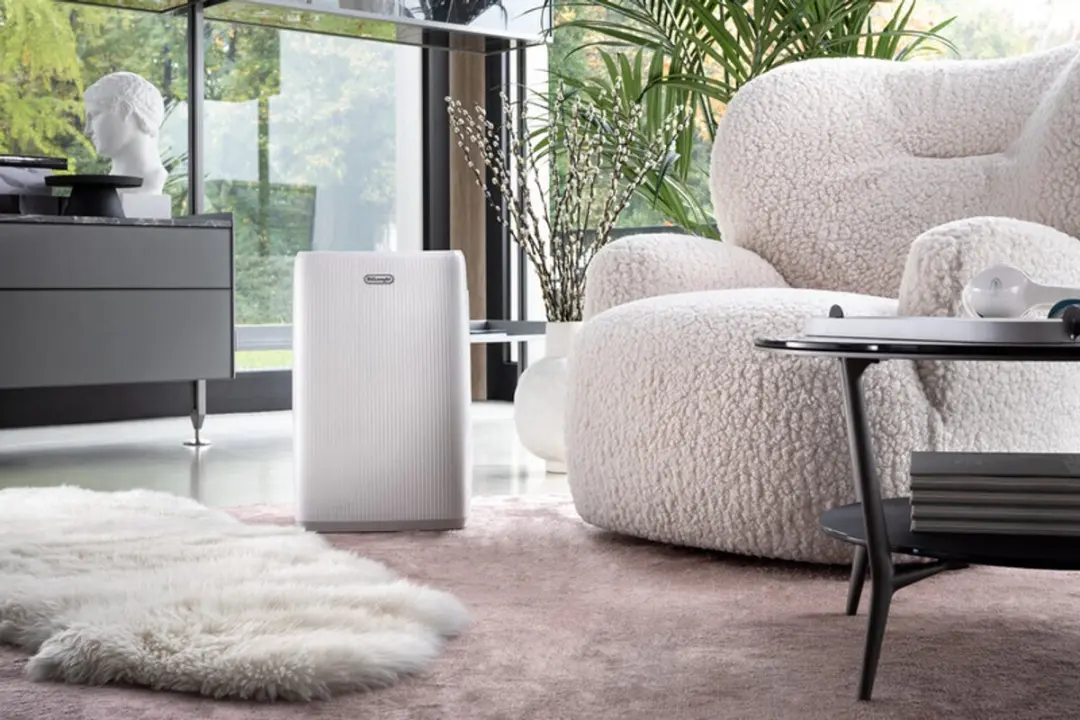 De'Longhi AriaDry Start DEP210 Luchtontvochtiger - 10L/dag - Wit