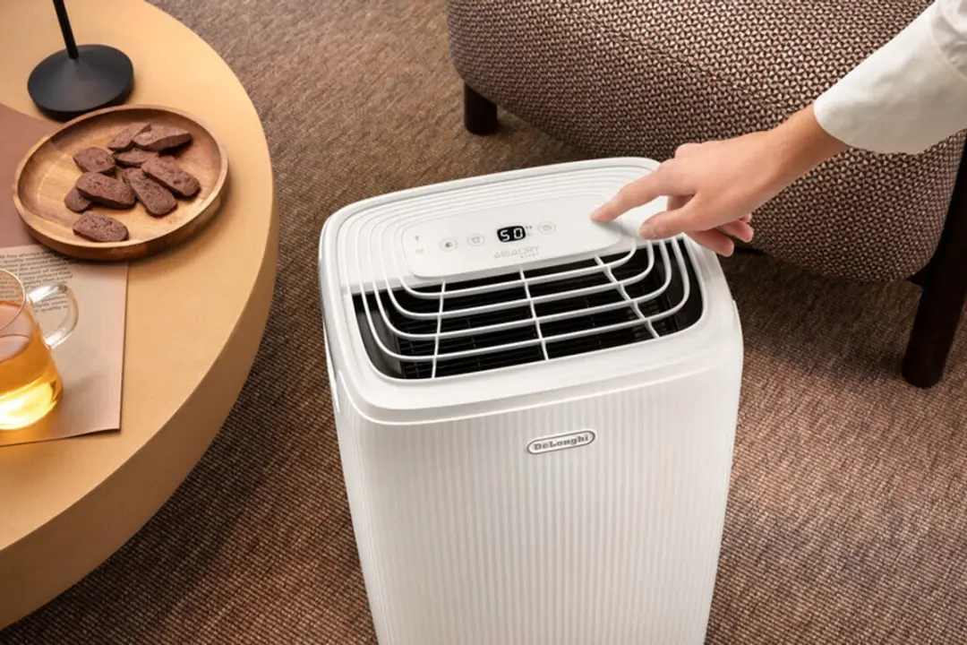 De'Longhi AriaDry Start DEP210 Luchtontvochtiger - 10L/dag - Wit