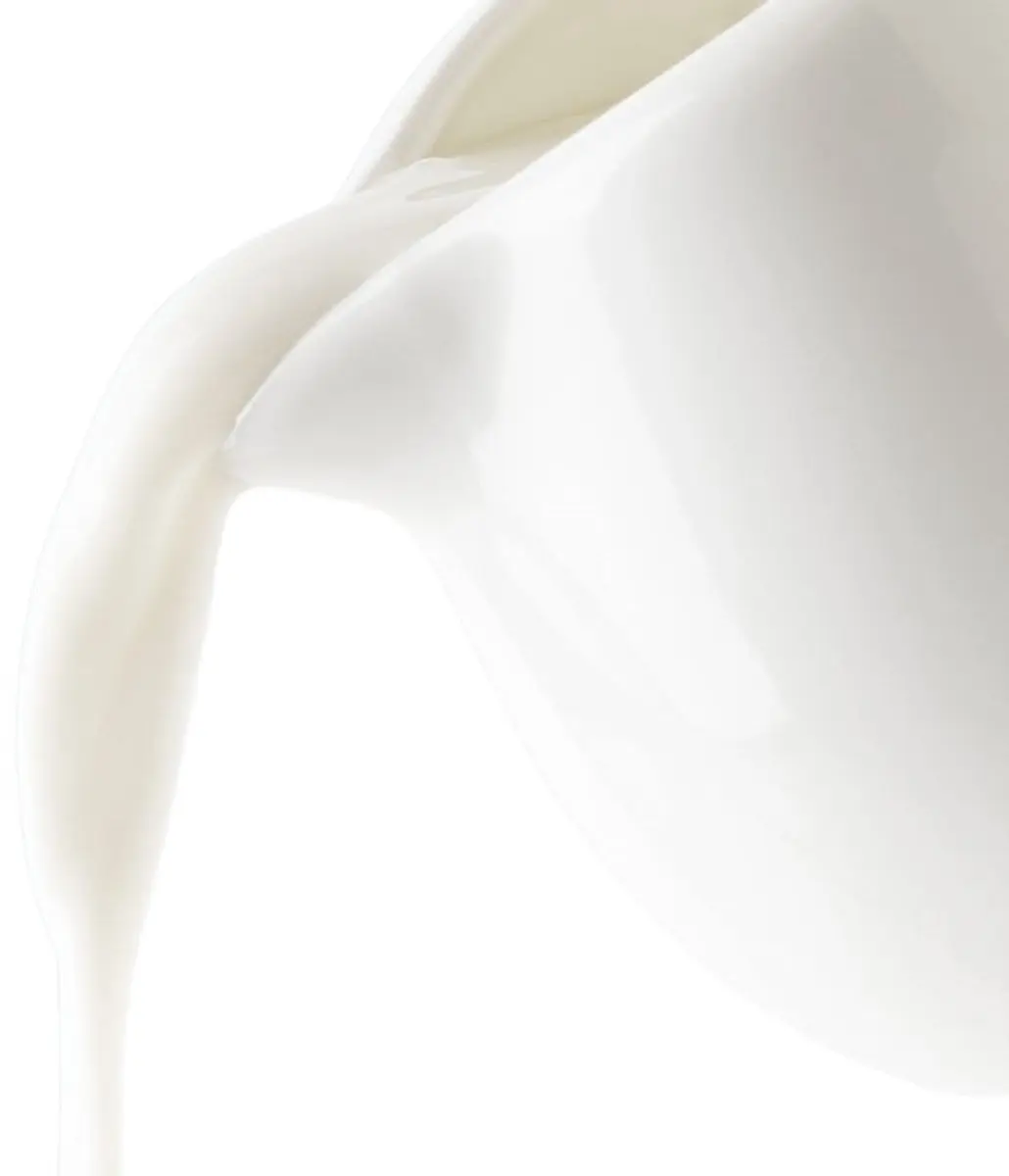 Orion Mona Serie Porseleinen Melkkannetje 80ml - Wit