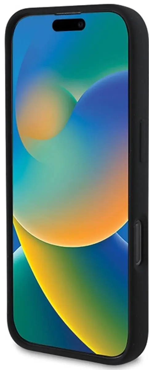 DKNY Liquid Silicone Arch Edition Hoesje iPhone 16 Pro Max - Zwart