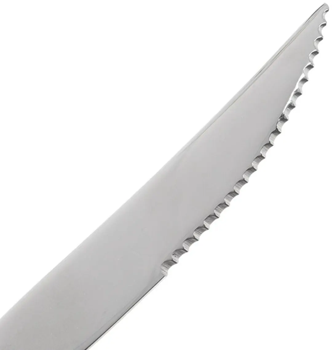 Orion RVS Steak- en Burgermessen - 2 Stuks - Zilver