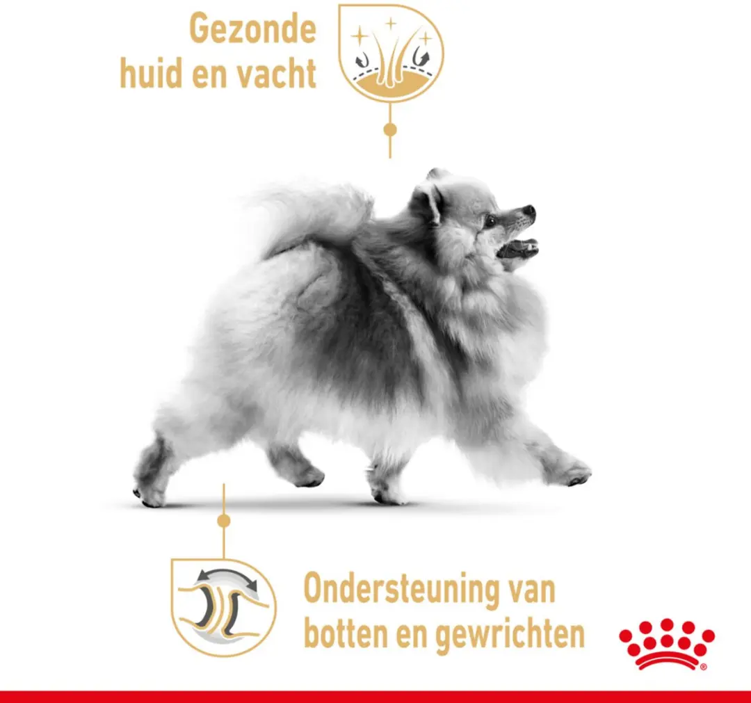 Royal Canin Pomeranian Adult Natvoer - 48x85g