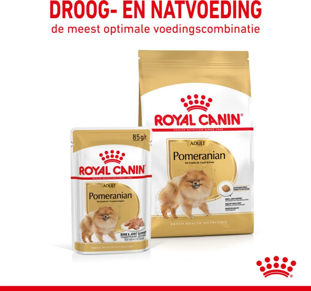 Royal Canin Pomeranian Adult Natvoer - 48x85g