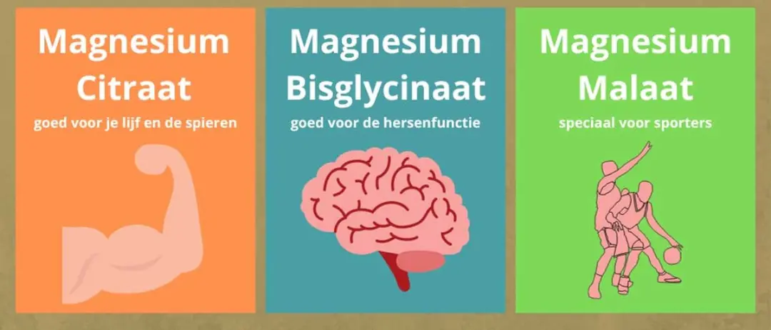 Golden Naturals Magnesiumcitraat 400mg 60 Vegan Tabletten