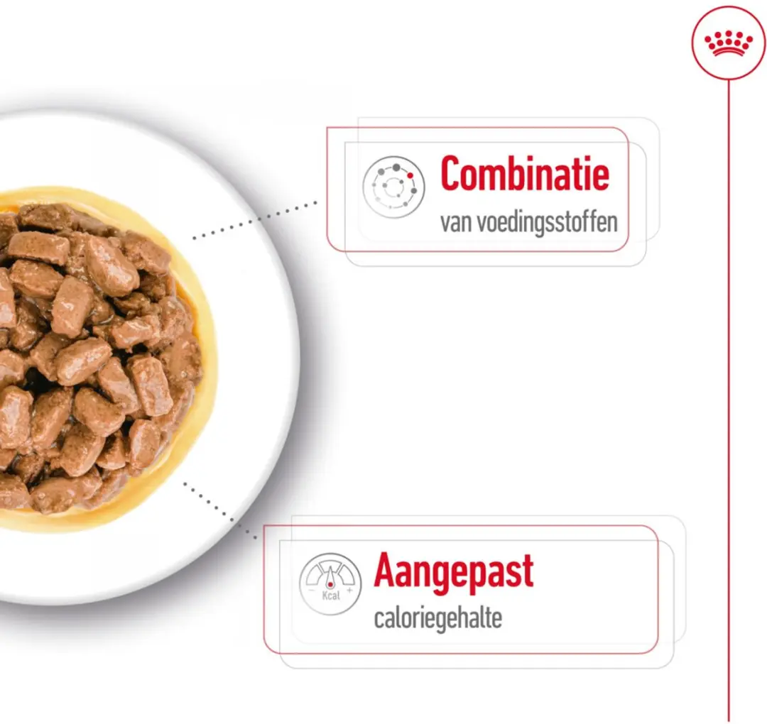 Royal Canin Mini Ageing 12+ Natvoer - 48 Stuks (4x12x85g)
