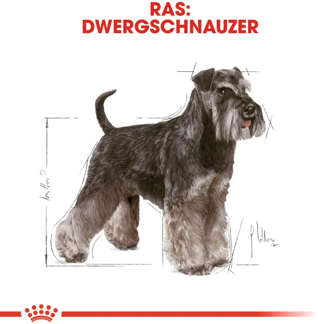 Royal Canin Mini Schnauzer Adult Hondenvoer - 7,5 kg