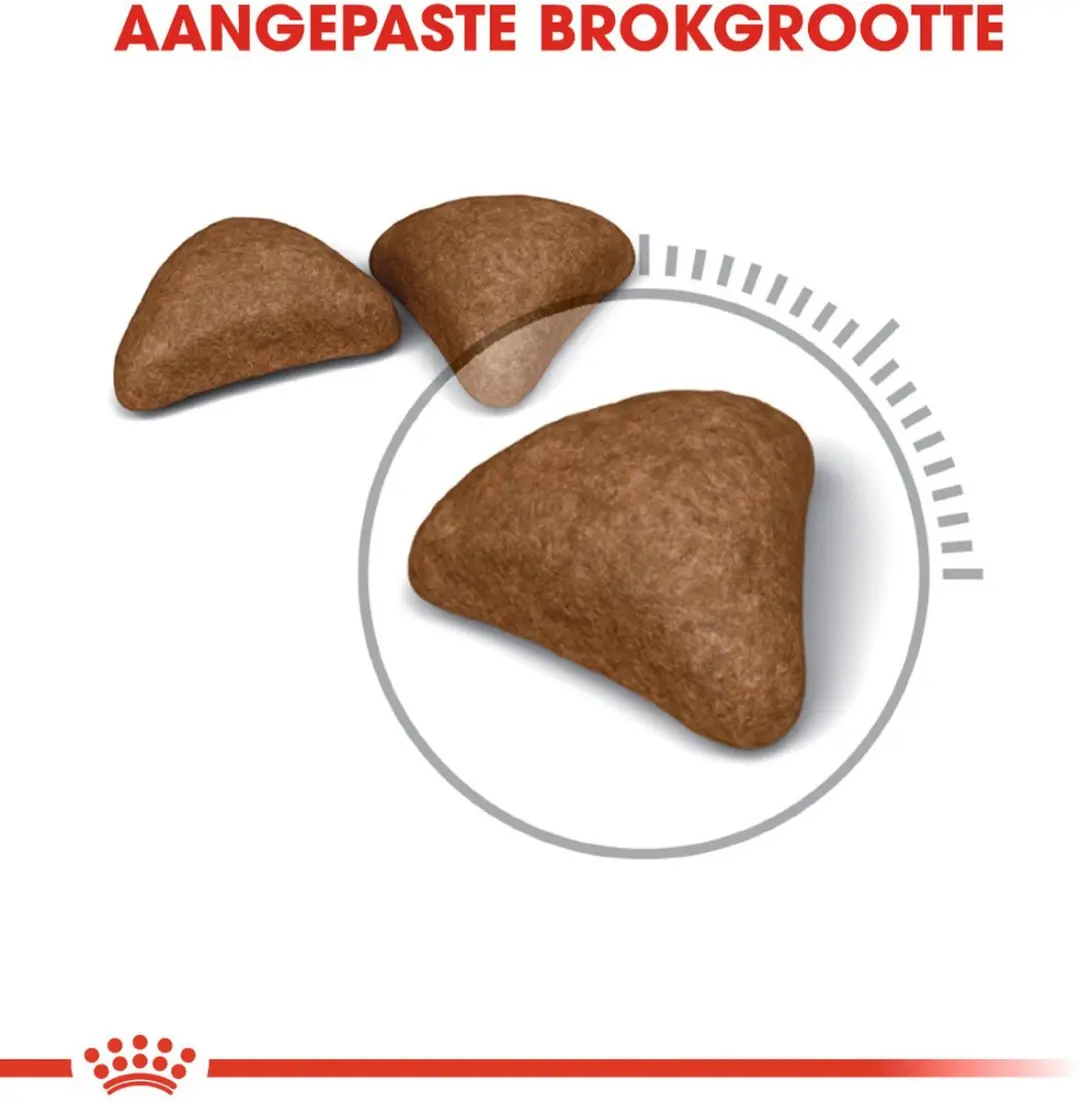Royal Canin Hairball Care Kattenvoer 400g - afbeelding 6 van 6