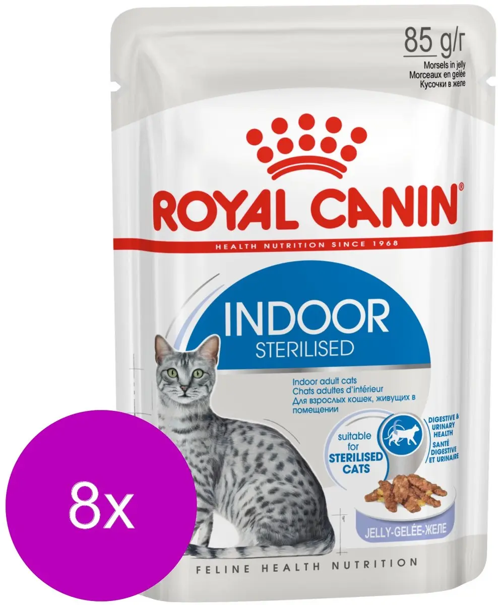 Royal Canin Indoor In Jelly Kattenvoer