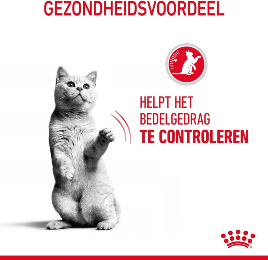 Royal Canin Appetite Control Care Kattenvoer - 4x3.5kg