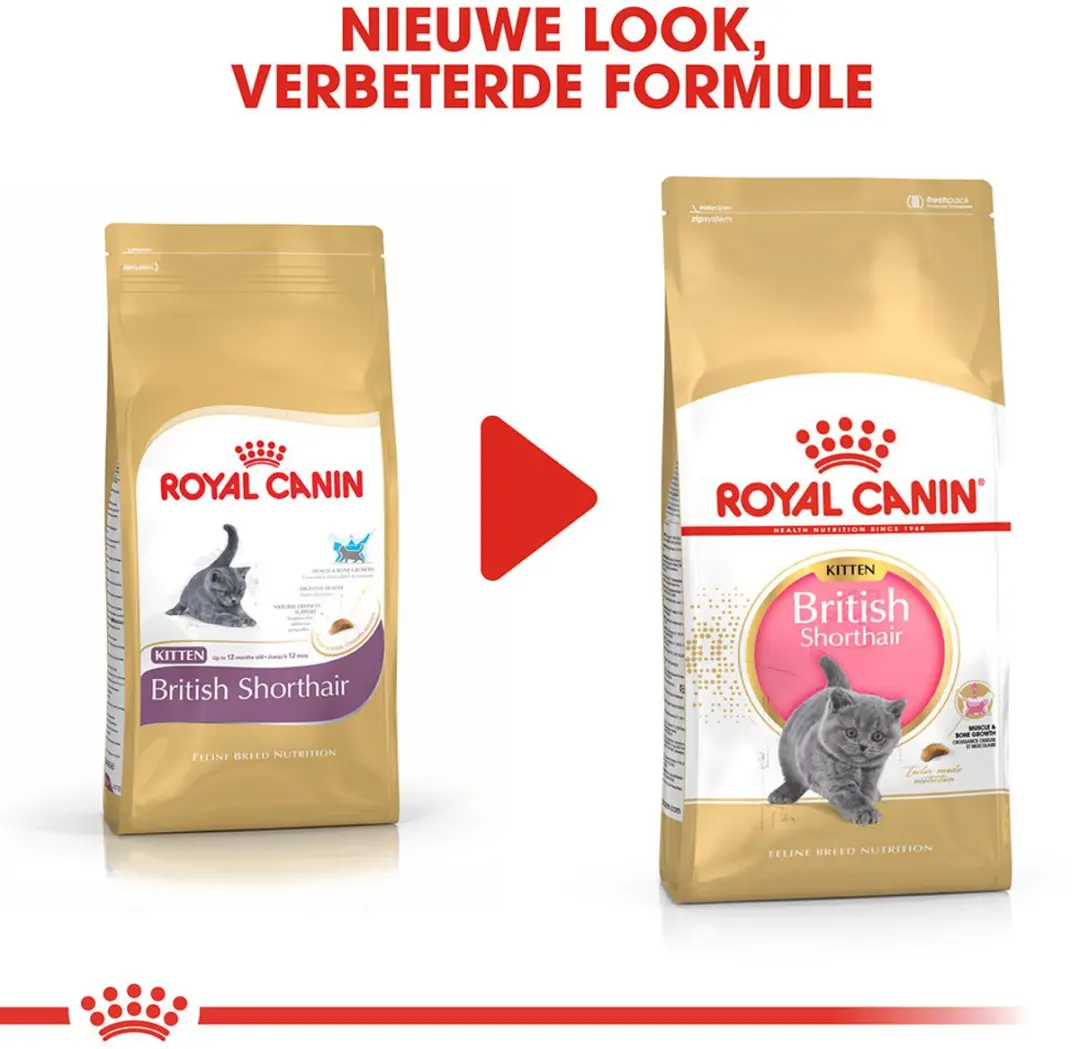 Royal Canin British Shorthair Kitten Kattenvoer - 10kg - afbeelding 6 van 6
