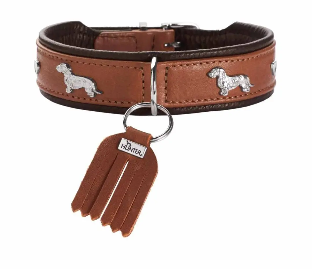 Hunter Teckel Halsband München Cognac