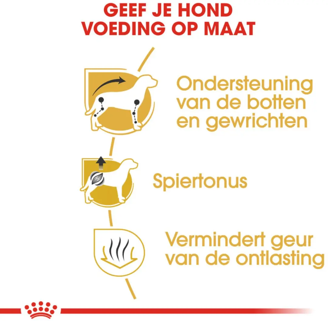 Royal Canin Dachshund Adult Hondenvoer - 6x1,5kg
