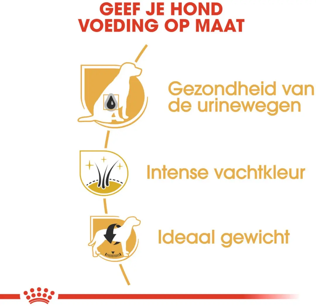 Royal Canin Mini Schnauzer Adult Hondenvoer - 3kg