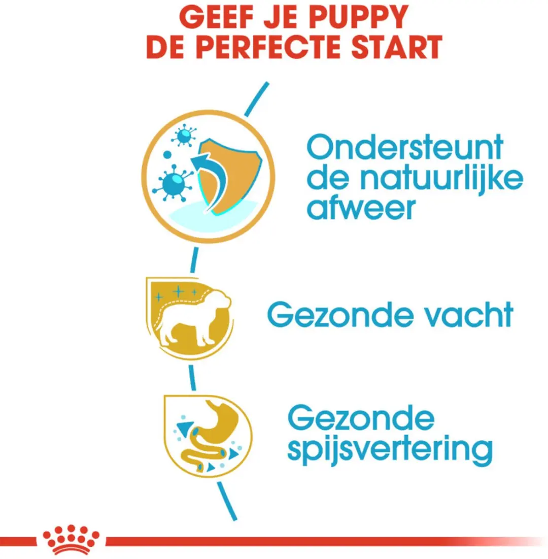 Royal Canin Poodle Puppy Hondenvoer - 12 kg (4x3kg)