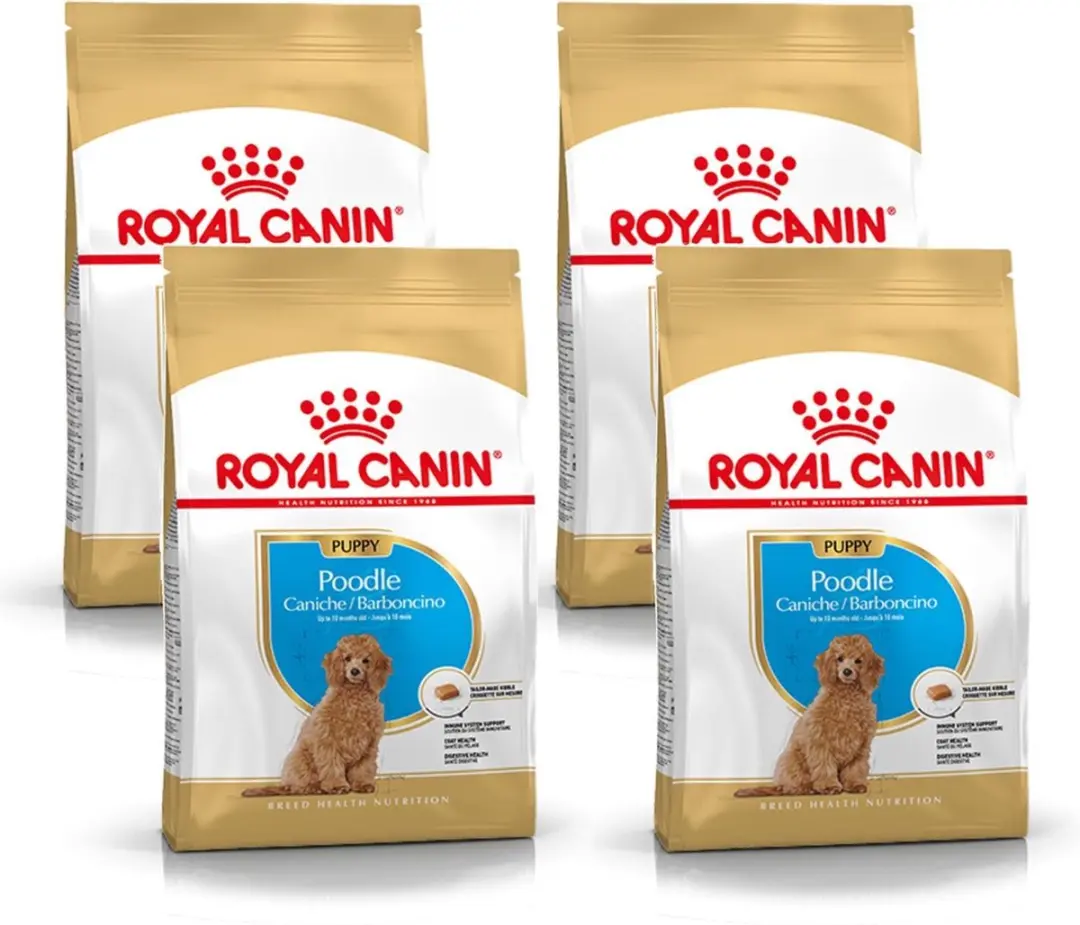 Royal Canin Poodle Puppy Hondenvoer - 12 kg (4x3kg)