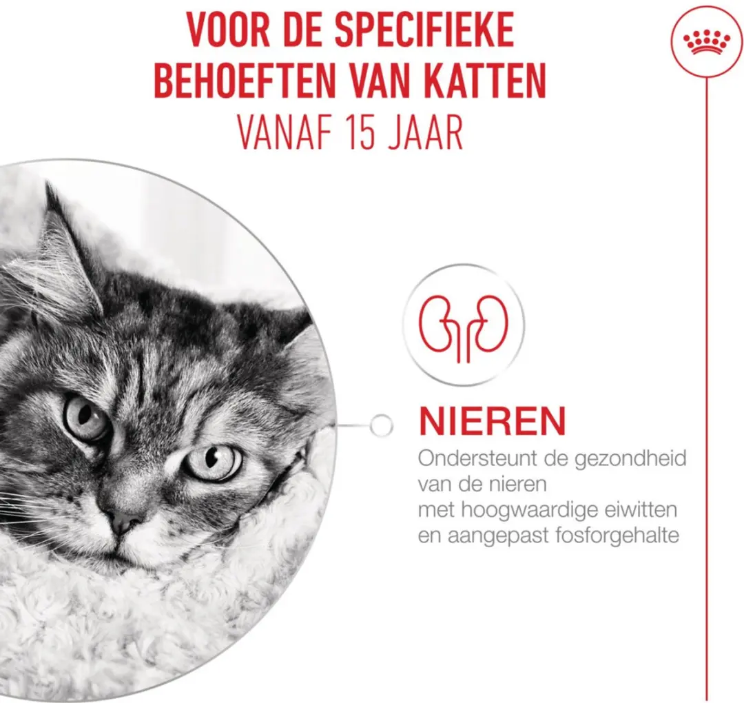 Royal Canin Kattenvoer Nat Gravy Ageing 15+ - 12 Stuks