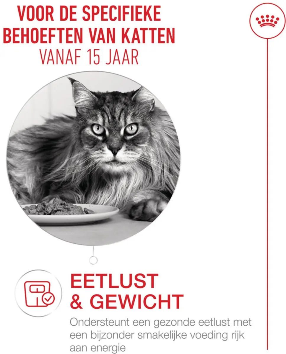 Royal Canin Kattenvoer Nat Gravy Ageing 15+ - 12 Stuks
