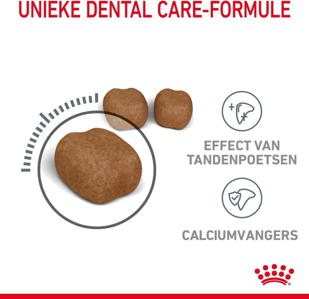 Royal Canin Dental Care Kattenvoer 8kg