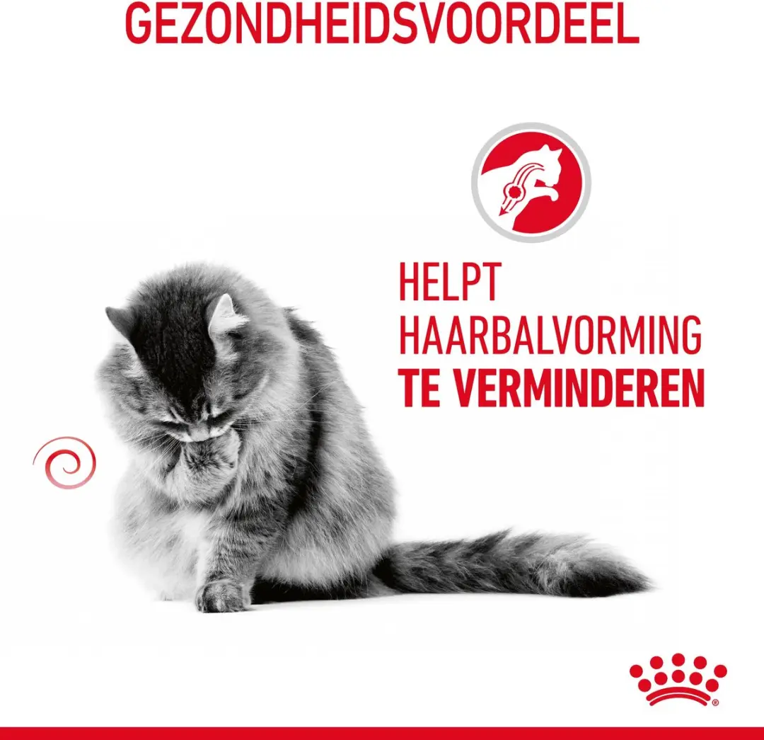 Royal Canin Hairball Care In Jelly Kattenvoer - 12x85g