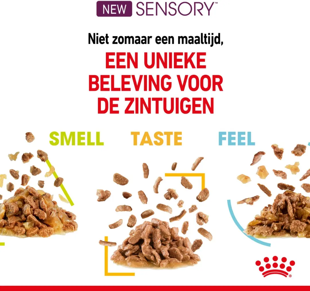 Royal Canin Sensory Feel Kattenvoer - 12x85g In Gravy