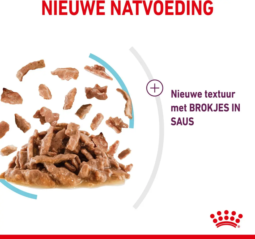 Royal Canin Sensory Feel Kattenvoer - 12x85g In Gravy