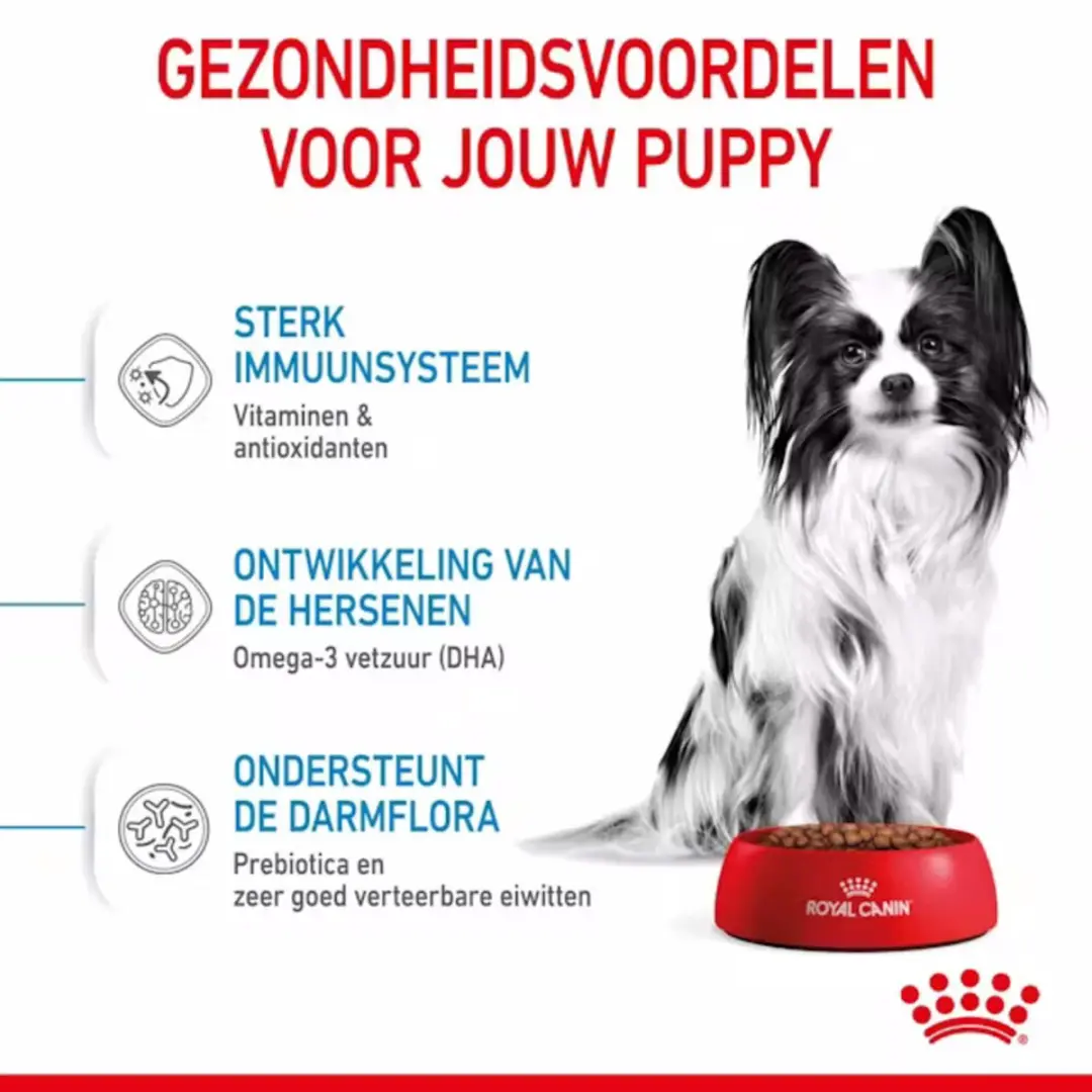 Royal Canin Extra Small Puppy Hondenvoer - 12kg