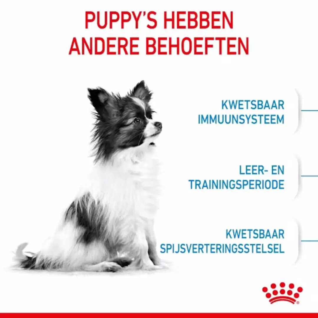 Royal Canin Extra Small Puppy Hondenvoer - 12kg