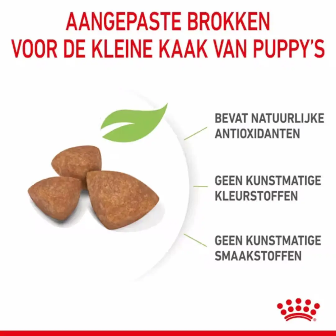Royal Canin Extra Small Puppy Hondenvoer - 12kg - afbeelding 6 van 6