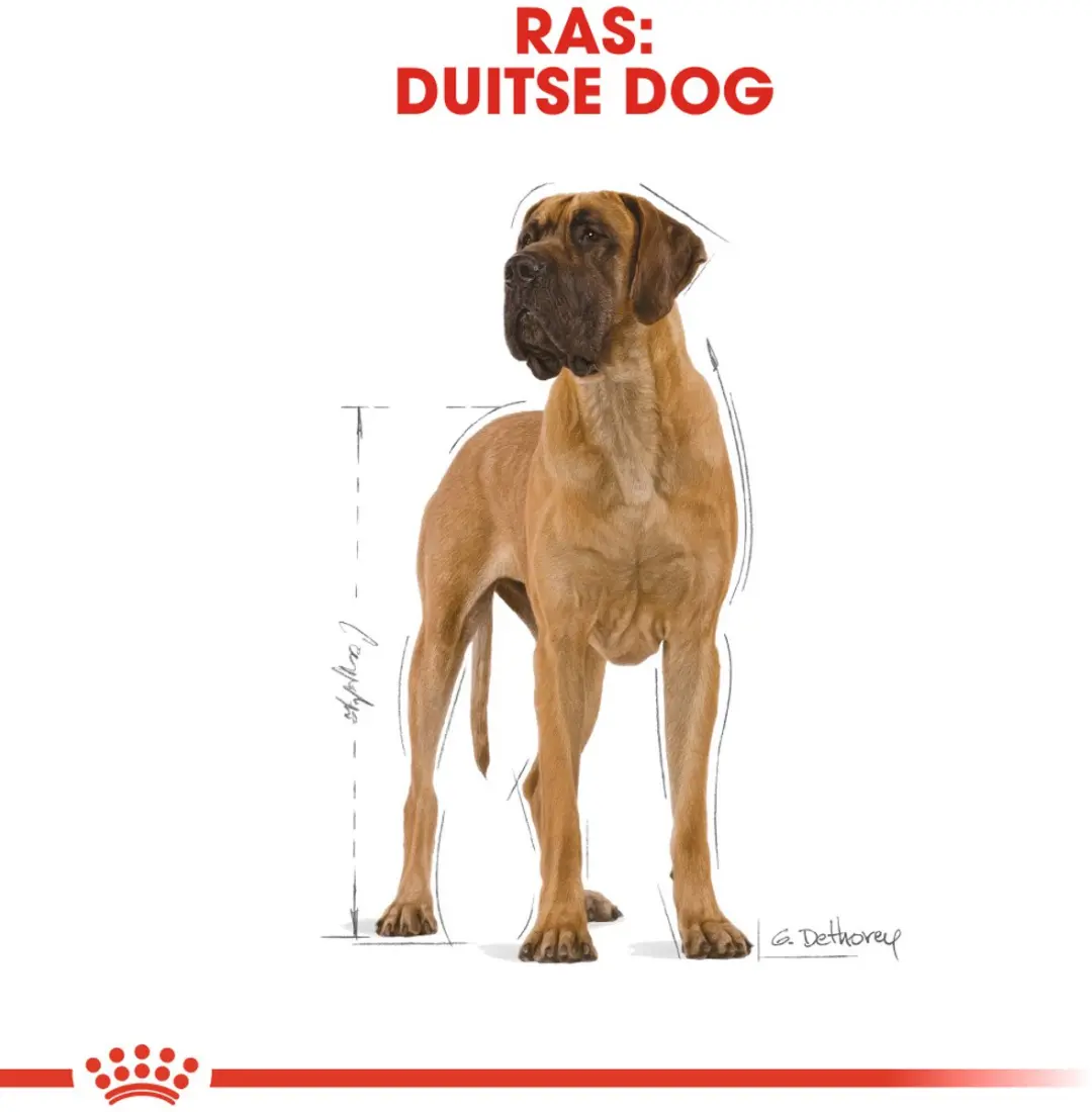 Royal Canin Great Dane 12kg